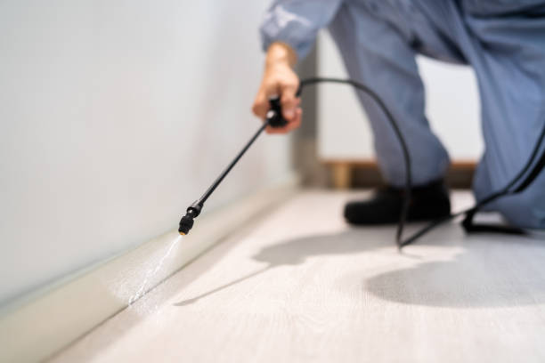 Rodent Entry Point Assessment in Buffalo
