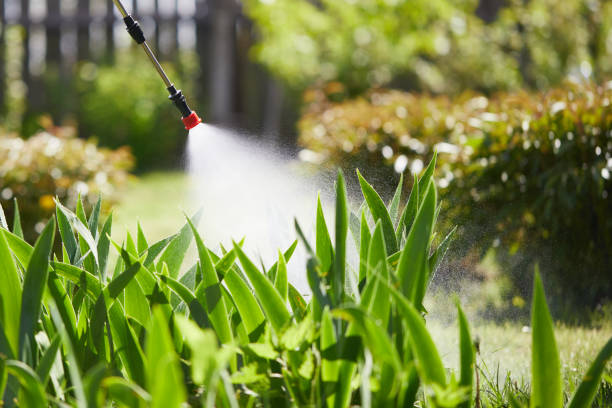 Tamper-Resistant Bait Stations for Rodents in Buffalo