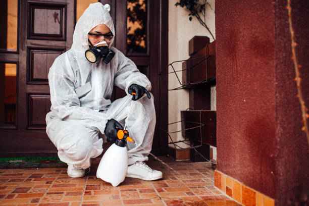 Attic and Crawl Space Rodent Treatment in Buffalo