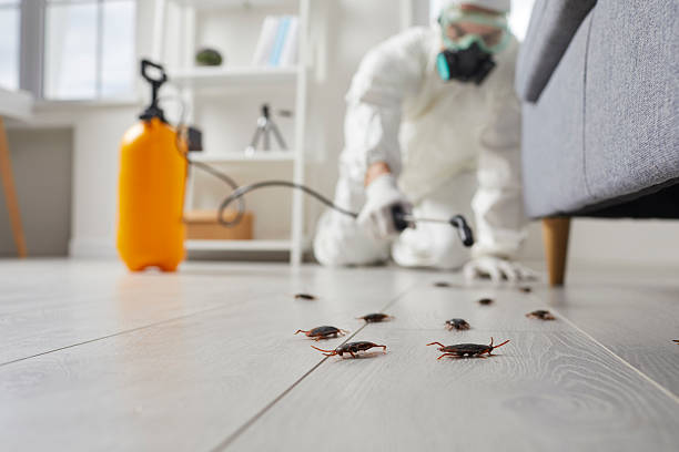 Commercial Rodent Management in Buffalo